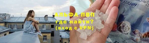гашик Балахна