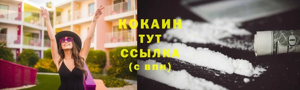 гашик Балахна