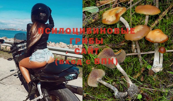 гашик Балахна