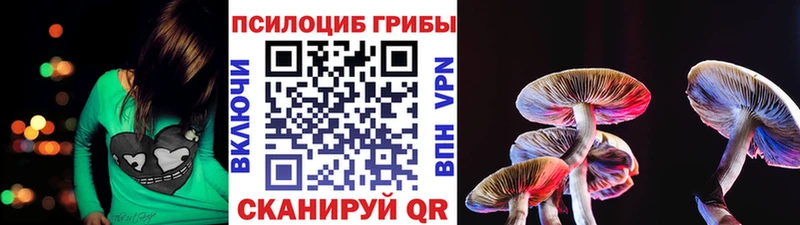 Псилоцибиновые грибы Psilocybine cubensis  где продают   Сенгилей 