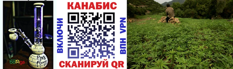 Бошки марихуана Ganja Сенгилей